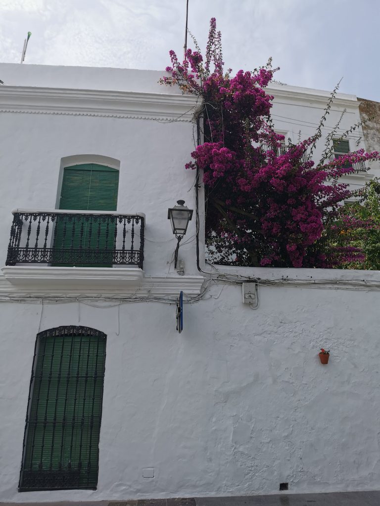 Vejer de la Frontera, edificios blancos